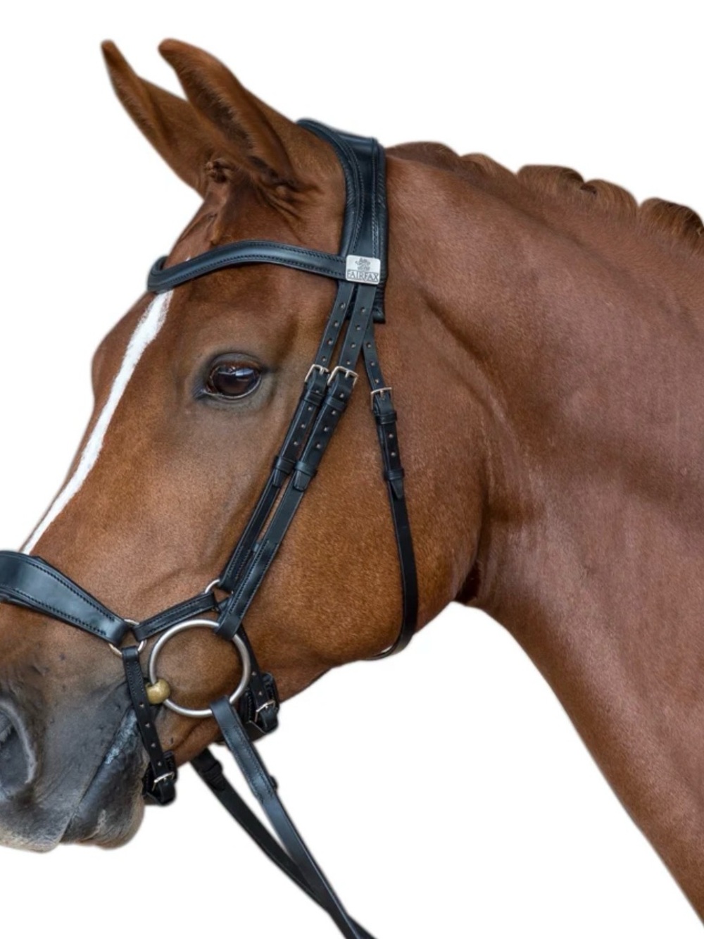 Fairfax Black Leather Snaffle Bridle